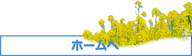 ホームへ戻るボタン